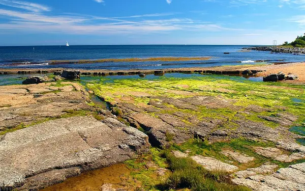 Küstenlandschaft an der Ostsee